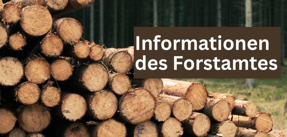 Brennholz (1200 x 571 px) - 1