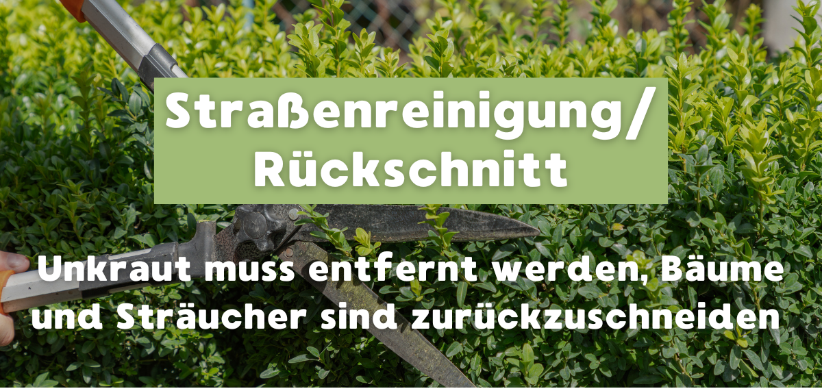 Straßenreinigung Rückschnitt - 1