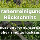Straßenreinigung Rückschnitt - 1